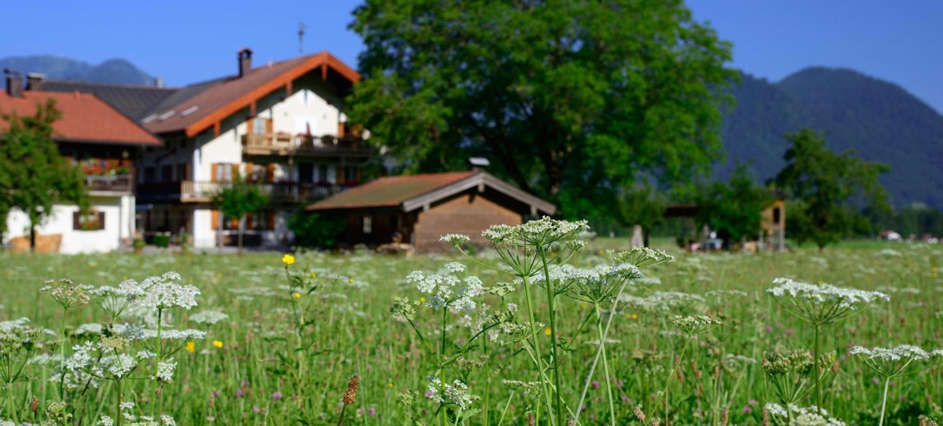 Ferienwohnungen Ramslerhof Inkl. Chiemgaukarte 鲁波尔丁 外观 照片